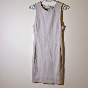 Aritzia Babaton light birch dress | Size 6